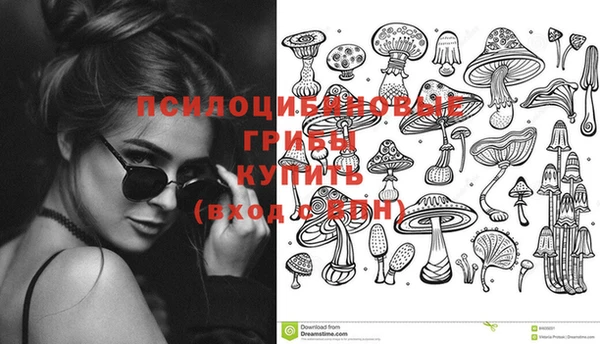 стафф Армянск