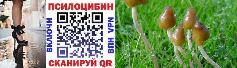Галлюциногенные грибы мухоморы гидра онион Людиново